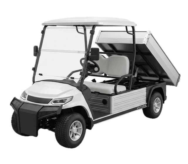 Carro de golf MG-PickUp