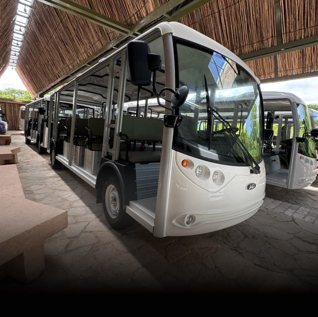 CARRO DE PASAJERO